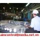 Quality control & Preshipment Inspection, Certification, AIM Control Vietnam