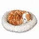 Breathing Cat, Breathing Dog, Furry Animal Toy