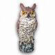 Plastic Owl, Owl Decoy, Owl Scarecrow