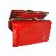 Purse, DSC05698