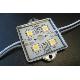 Led Stainless Steel Square Module (5050), WW-LMAT5S04XXA-12