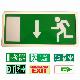 Emergency Light, Emergency Lamp, Emergency Lighting 808, LME 808