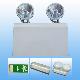 Emergency Light , Emergency Lamp, Emergency Lightng 8020, lme8020