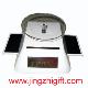 solar powered rotating display stand with blinking logo, JZM-355
