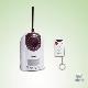 Wireless Motion Sensor Digital Photo/Video Camera Recorder, Model 820R