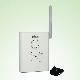 Wireless GSM Caller, Model T062DBS