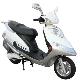 Electric Motorcycle (2)