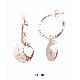 Sell earrings