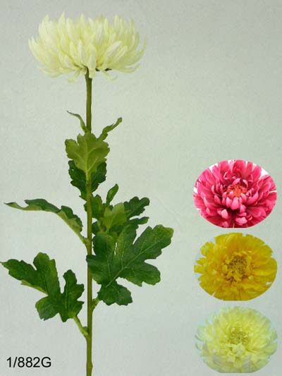 29 inches Single fuji mum bud w/12 lvs. (coating stem)