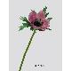 Sell 16.5 inches SINGLE ANEMONE BUD(SATIN, COATING STEM)