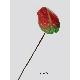 3.5 inches ANTHURIUM SPRAY W/ 17 inchesCOATING STEM