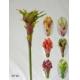 Protea-bromilliard stem.