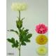 29 inches Single fuji mum bud w/12 lvs. (coating stem), 1/882G