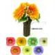 8.5 inches Gerbera daisy & hosta lvs in plastic twig stand
