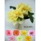 Dahlia w/2 fls, 2 lvs & water in glass