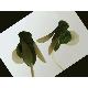 Fly Earphone For Mp3, KBJ-608