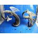 Resin Craft Vivid Dinosaur