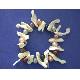 Color Freshwater Pearl Shell Bracelet Bangle #jpb0080