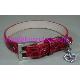 Luxury Pet Collars