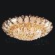 Crystal Ceiling Light