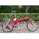 Electric bicyle, CE-02010EA