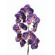 Stem Flower, 80010/06