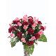 Flower Bush, 80010/34