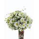Flower Bush, 80010/19