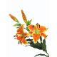 Stem Flower, 80010/18