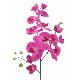 Stem Flower, 80010/07