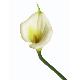 Stem Flower, 80010/08
