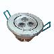 Led Down Light
