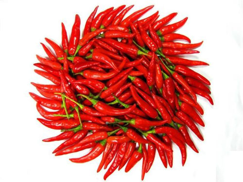 Chilli