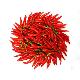 Chilli, 3