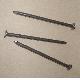 Common Nail, TT01