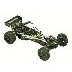 Electric Rc Car