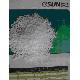 Polycaprolactone, Pcl, Diy Material, Polymorph Plastic, Shape Rock