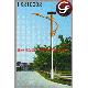 Solar Street Light