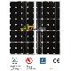 Monocrystalline Silicon Panel 80w, MCS001 - AD 125X125-36m 80W
