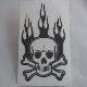 Skull UV Sticker/Decal (UV-003 UV Coating), UV-003