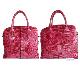 Fashion Handbag, DS-010