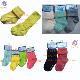 China Socks Factory Children's Socks, GZ11A0225001