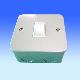 10A 1 Gang 2 Way Switch, MC2021