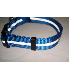 Dog Collar