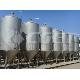 Mini-brewery Equipment-fermenting Tank
