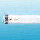 Fluorescent Lamp