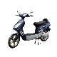 36v Electric Scooter, ZMS001