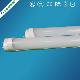 Led Tube, Led Tube Light, T8 Led Tube, Ul Led Tube, Led Tube T8