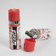 USB rechargeable Ni-MH AA Battery (800 mAh / 1200mAh)