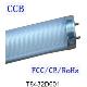 Led Tube T8, RG432D6-01